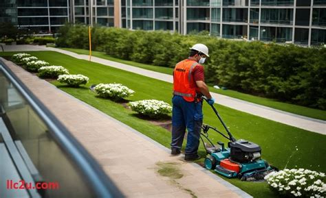 mexican lawnmower|Mexican Lawnmower: Truth Behind a Controversial Phrase .